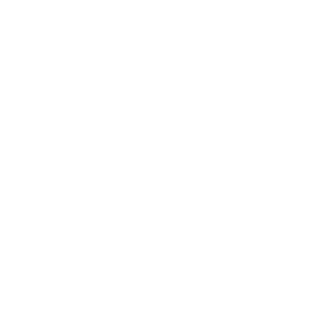 wordpress-simple-brands-7.png